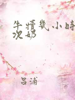 牛犊几小时吃一次奶