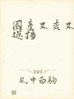 国产又爽又黄无遮挡