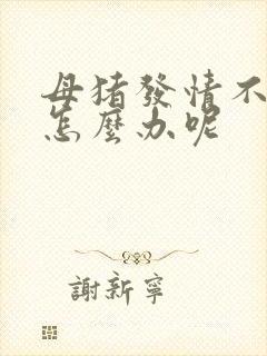 母猪发情不静立怎么办呢