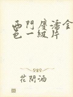 西门庆潘金莲黄色一级片