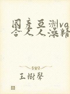 国产亚洲va综合人人澡精品