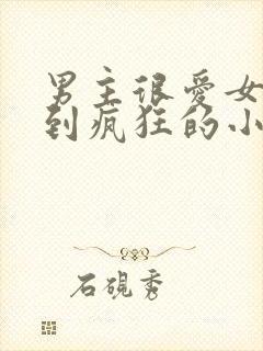 男主很爱女主爱到疯狂的小说现言