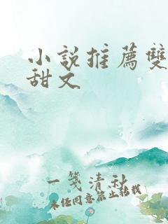 小说推荐双男主甜文