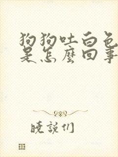 狗狗吐白色泡沫是怎么回事