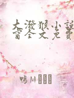 大泼猴小说无弹窗全文免费阅读