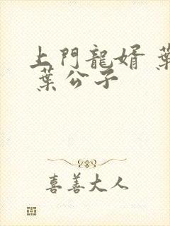 上门龙婿 叶辰 叶公子