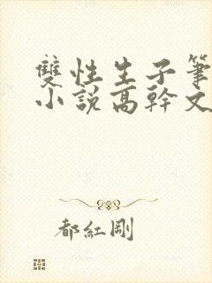 双性生子笔趣阁小说高干文