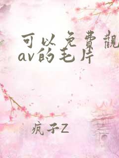 可以免费观看的av的毛片
