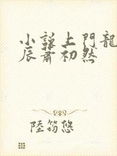 小说上门龙婿叶辰萧初然