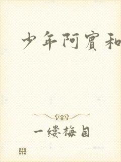 少年阿宾和慧钰