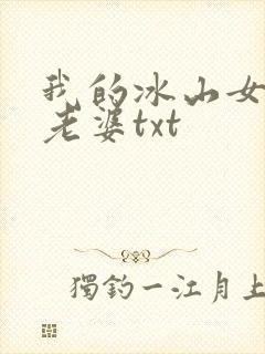 我的冰山女总裁老婆txt