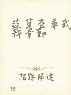 苏莫至尊武魂最新章节