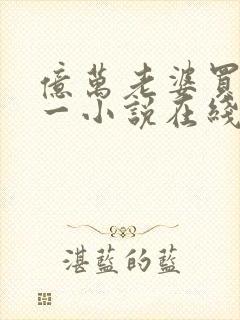 亿万老婆买一送一小说在线看