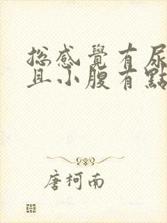 总感觉有尿意而且小腹有点痛