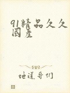 91精品久久久国产