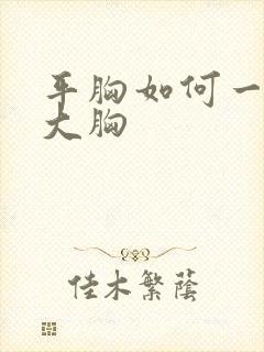 平胸如何一秒变大胸