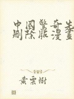 中国惊奇先生未删除版漫画