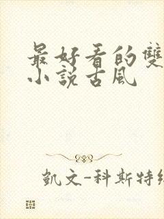 最好看的双男主小说古风