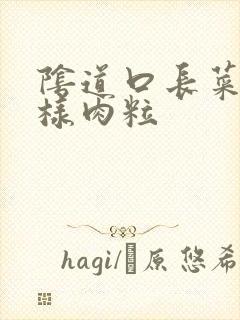 阴道口长菜花一样肉粒