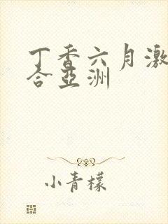 丁香六月激情综合亚洲