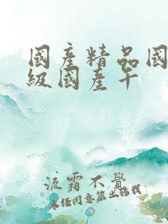 国产精品国产三级国产午