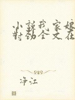 小说我家娘子不对劲全文在线阅读