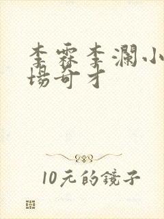 李霖李澜小说官场奇才