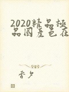 2020精品极品国产色在线,