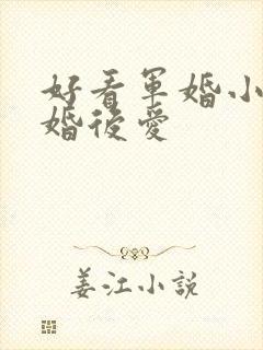 好看军婚小说先婚后爱