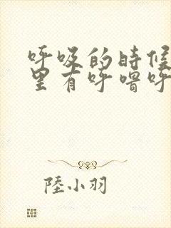 呼吸的时候气管里有呼噜呼噜声音