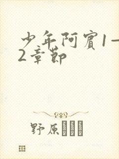 少年阿宾1—72章节