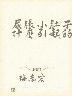 尿胀小肚子疼是什么引起的