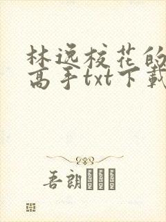 林逸校花的贴身高手txt下载