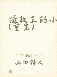 摄政王的小青梅(重生)