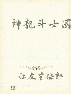 神龙斗士国语版