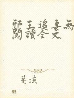 邪王追妻无删减阅读全文