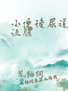 小便后尿道刺痛流脓