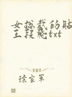 女总裁的贴身兵王段飞txt