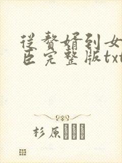 从赘婿到女帝宠臣完整版txt下载