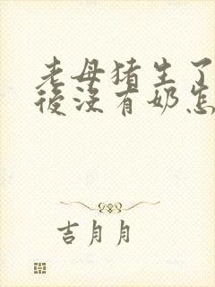 老母猪生了小猪后没有奶怎么办