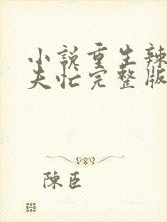 小说重生辣妻撩夫忙完整版未删减小说