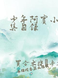 少年阿宾小说全集目录