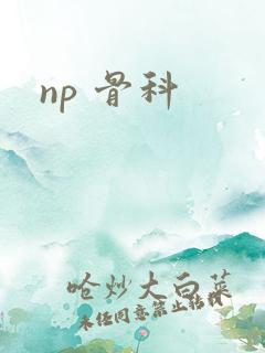 np 骨科