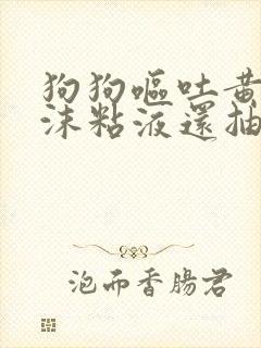 狗狗呕吐黄水泡沫粘液还抽搐