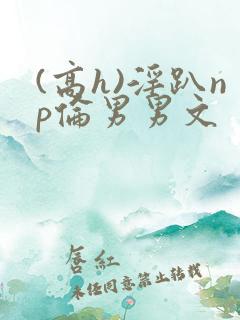 (高h)淫趴np伦男男文