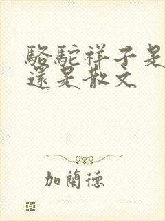 骆驼祥子是小说还是散文