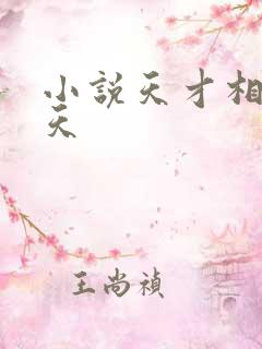 小说天才相师叶天