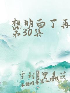 想明白了再结婚第30集