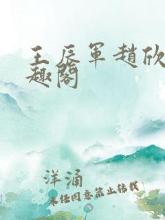 王辰军赵欣雅笔趣阁