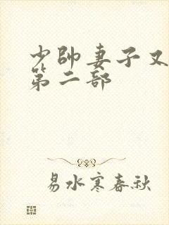 少帅妻子又跑了第二部